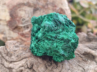 Natural Silky Malachite Specimens x 12 From Kasompe, Congo