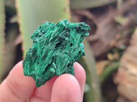 Natural Silky Malachite Specimens x 12 From Kasompe, Congo