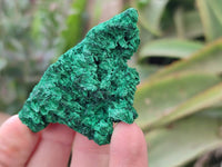 Natural Silky Malachite Specimens x 12 From Kasompe, Congo