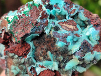 Natural Drusy Coated Chrysocolla with Malachite x 6 From Lupoto Mine, Congo
