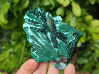 Natural Drusy Coated Chrysocolla with Malachite x 6 From Lupoto Mine, Congo