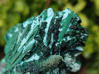 Natural Drusy Coated Chrysocolla with Malachite x 6 From Lupoto Mine, Congo