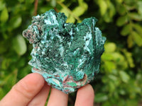 Natural Drusy Coated Chrysocolla with Malachite x 6 From Lupoto Mine, Congo
