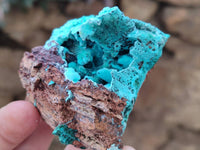 Natural Drusy Coated Chrysocolla with Malachite x 6 From Lupoto Mine, Congo