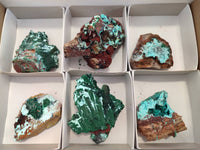 Natural Drusy Coated Chrysocolla with Malachite x 6 From Lupoto Mine, Congo