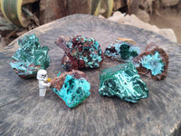 Natural Drusy Coated Chrysocolla with Malachite x 6 From Lupoto Mine, Congo