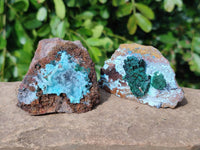 Natural Drusy Coated Chrysocolla with Malachite x 6 From Lupoto Mine, Congo