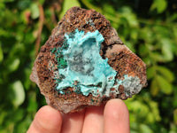 Natural Drusy Coated Chrysocolla with Malachite x 6 From Lupoto Mine, Congo