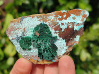 Natural Drusy Coated Chrysocolla with Malachite x 6 From Lupoto Mine, Congo