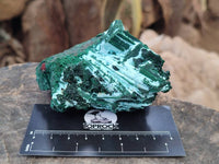 Natural Drusy Coated Chrysocolla with Malachite x 6 From Lupoto Mine, Congo