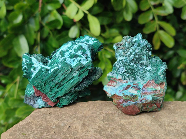 Natural Drusy Coated Chrysocolla with Malachite x 6 From Lupoto Mine, Congo