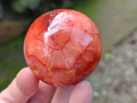 Polished Carnelian Agate Spheres x 6 From Madagascar