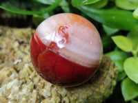 Polished Carnelian Agate Spheres x 6 From Madagascar