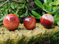 Polished Carnelian Agate Spheres x 6 From Madagascar