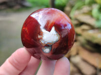 Polished Carnelian Agate Spheres x 6 From Madagascar