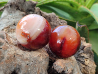 Polished Carnelian Agate Spheres x 6 From Madagascar