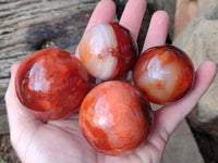 Polished Carnelian Agate Spheres x 6 From Madagascar