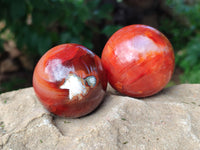 Polished Carnelian Agate Spheres x 6 From Madagascar