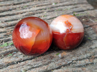 Polished Carnelian Agate Spheres x 6 From Madagascar