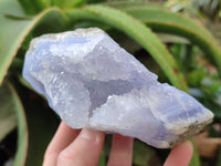 Natural Blue Lace Agate Geode Specimens x 4 From Nsanje, Malawi
