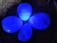 Polished Fluorescent Green Fluorite Spheres x 4 From Madagascar