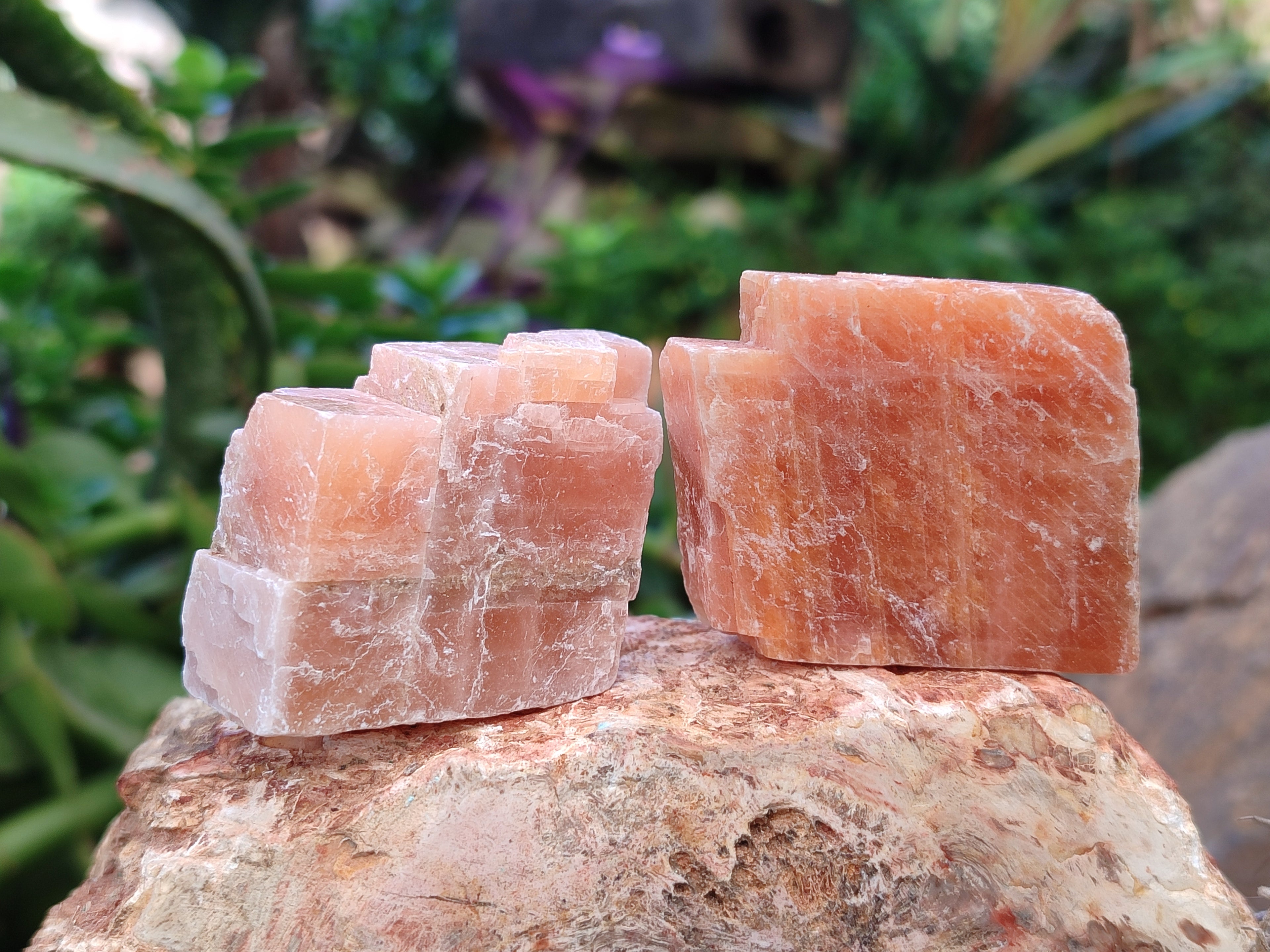 Natural Sunset Orange Rhombohedron Calcite Specimens x 35 From Spitzkop, Namibia - Toprock Gemstones and Minerals 