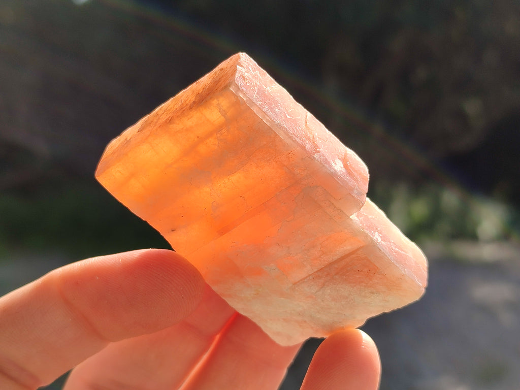 Natural Sunset Orange Rhombohedron Calcite Specimens x 35 From Spitzkop, Namibia - Toprock Gemstones and Minerals 