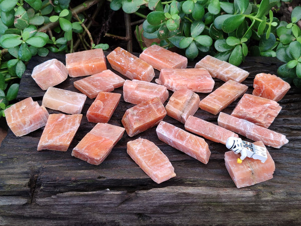 Natural Sunset Orange Rhombohedron Calcite Specimens x 35 From Spitzkop, Namibia