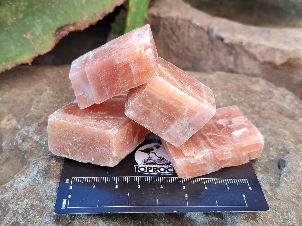 Natural Sunset Orange Rhombohedron Calcite Specimens x 35 From Spitzkop, Namibia - Toprock Gemstones and Minerals 