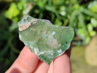 Natural Drusy Salrose Cobaltion Dolomite with Malachite, Chrysocolla and Duftite specimens x 35 From Congo