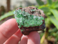 Natural Drusy Salrose Cobaltion Dolomite with Malachite, Chrysocolla and Duftite specimens x 35 From Congo