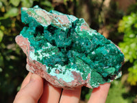 Natural Dioptase On Dolomite Specimens with Chrysocolla and Malachite x 2 From Mashamba West Mine, Congo