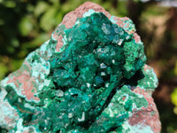 Natural Dioptase On Dolomite Specimens with Chrysocolla and Malachite x 2 From Mashamba West Mine, Congo