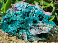 Natural Dioptase On Dolomite Specimens with Chrysocolla and Malachite x 2 From Mashamba West Mine, Congo