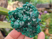 Natural Dioptase On Dolomite Specimens with Chrysocolla and Malachite x 2 From Mashamba West Mine, Congo