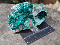 Natural Dioptase On Dolomite Specimens with Chrysocolla and Malachite x 2 From Mashamba West Mine, Congo