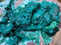 Natural Dioptase On Dolomite Specimens with Chrysocolla and Malachite x 2 From Mashamba West Mine, Congo