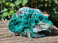 Natural Dioptase On Dolomite Specimens with Chrysocolla and Malachite x 2 From Mashamba West Mine, Congo