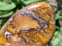 Polished Neolite Standing Free Forms x 3 From Prieska, South Africa