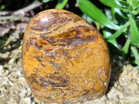 Polished Neolite Standing Free Forms x 3 From Prieska, South Africa
