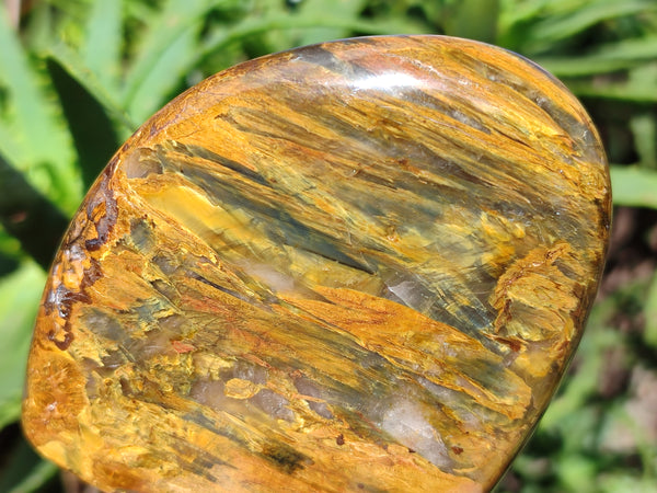 Polished Neolite Standing Free Forms x 3 From Prieska, South Africa