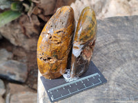 Polished Neolite Standing Free Forms x 3 From Prieska, South Africa