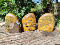 Polished Neolite Standing Free Forms x 3 From Prieska, South Africa