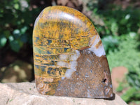 Polished Neolite Standing Free Forms x 3 From Prieska, South Africa