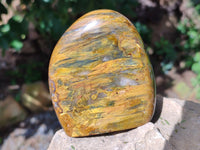 Polished Neolite Standing Free Forms x 3 From Prieska, South Africa