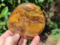 Polished Neolite Standing Free Forms x 3 From Prieska, South Africa