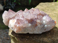 Natural Cactus Flower Sunburst Spirit Amethyst Clusters x 2 From South Africa