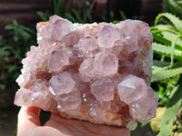 Natural Cactus Flower Sunburst Spirit Amethyst Clusters x 2 From South Africa