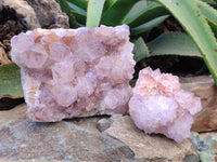 Natural Cactus Flower Sunburst Spirit Amethyst Clusters x 2 From South Africa