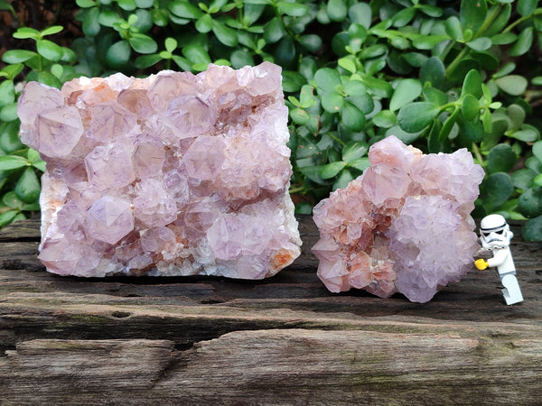 Natural Cactus Flower Sunburst Spirit Amethyst Clusters x 2 From South Africa